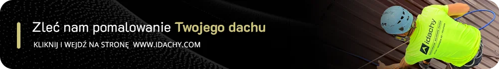 malowanie dachu cena